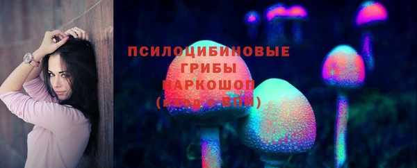 Альфа ПВП Ельня