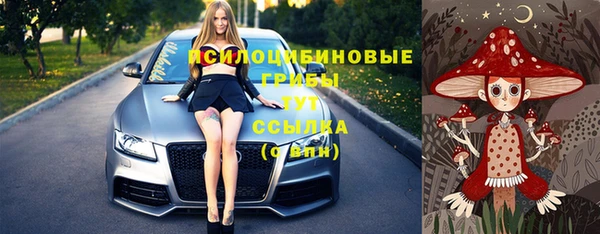 амф Баксан