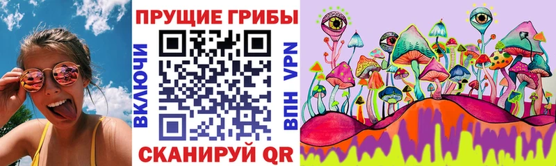маркетплейс телеграм KRAKEN вход Галлюциногенные грибы Magic Shrooms Северо-Курильск дарнет шоп